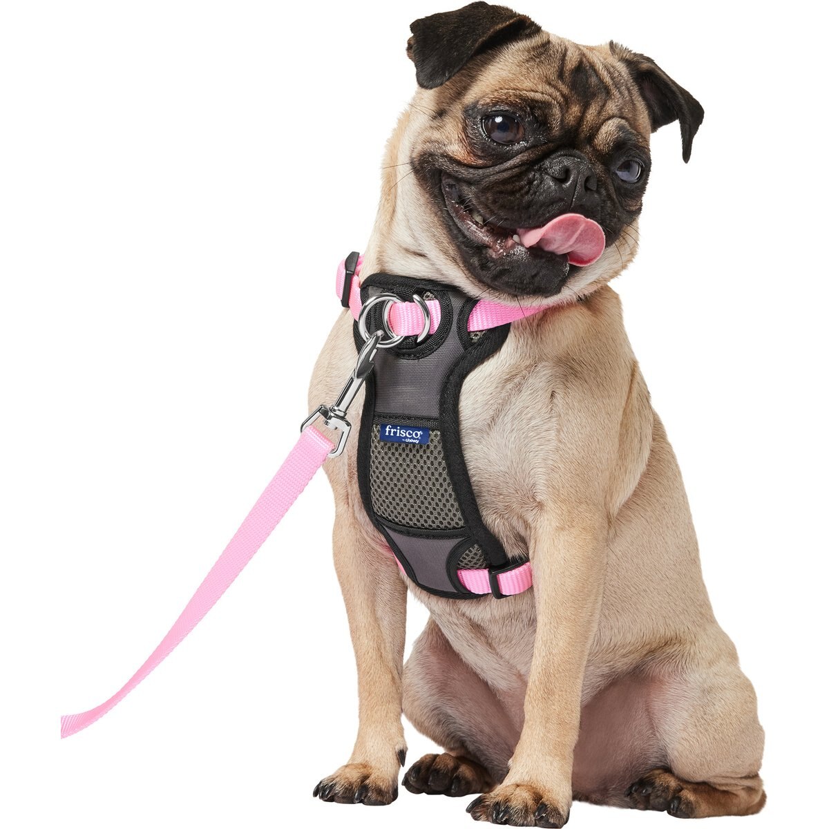 Frisco Padded No Pull Dog Harness, Pink, S- Girth16 to 22-in