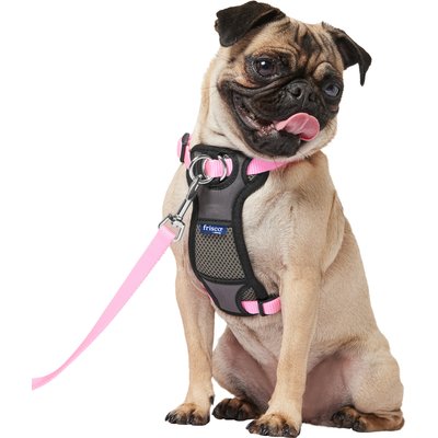 Frisco Frisco Padded No Pull Dog Harness, Pink, S- Girth16 to 22-in