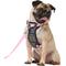 Show in main carousel: Frisco Padded No Pull Dog Harness, Pink, S- Girth16 to 22-in slide 1 of 10