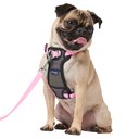 Frisco Padded No Pull Dog Harness, Pink, S- Girth16 to 22-in