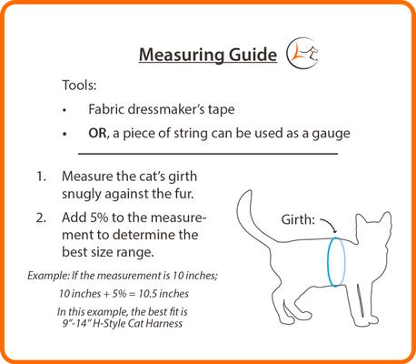 Show full view: LupinePet Basic Solid H-Style Cat Harness, Blue, Large: 12 to 20-in chest slide 3 of 5