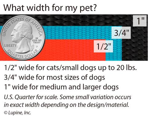 Show full view: LupinePet Eco Dog Collar, Granite, X-Large: 25 to 31-in neck, 1-in wide slide 5 of 5