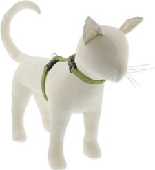 LupinePet Eco H-Style Cat Harness, Moss, Large: 12 to 20-in chest