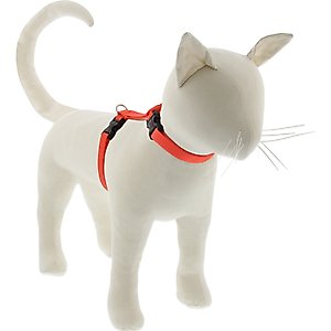 LupinePet Basic Solid H-Style Cat Harness, Blaze Orange, Small: 9 to 14-in chest