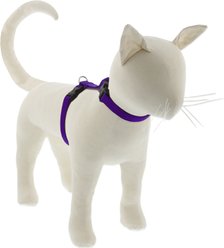 LupinePet Basic Solid H-Style Cat Harness, Purple, Large: 12 to 20-in chest
