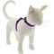Show in main carousel: LupinePet Basic Solid H-Style Cat Harness, Purple, Large: 12 to 20-in chest slide 1 of 5