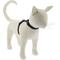 Show in main carousel: LupinePet Basic Solid H-Style Cat Harness, Black, Small: 9 to 14-in chest slide 1 of 5