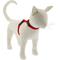 Show in main carousel: LupinePet Basic Solid H-Style Cat Harness, Red, Large: 12 to 20-in chest slide 1 of 5