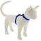 Show in main carousel: LupinePet Basic Solid H-Style Cat Harness, Blue, Large: 12 to 20-in chest slide 1 of 5