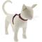 Show in main carousel: LupinePet Eco H-Style Cat Harness, Berry, Small: 9 to 14-in chest slide 1 of 5