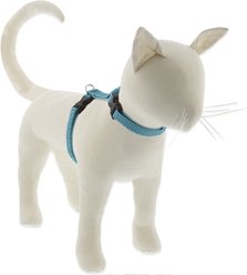 LupinePet Eco H-Style Cat Harness, Tropical Sea, Large: 12 to 20-in chest
