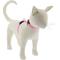 Show in main carousel: LupinePet Basic Solid H-Style Cat Harness, Pink, Small: 9 to 14-in chest slide 1 of 5