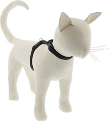 LupinePet Basic Solid H-Style Cat Harness, Black, Large: 12 to 20-in chest