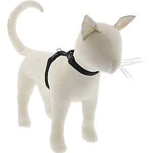 LupinePet Basic Solid H-Style Cat Harness, Black, Large: 12 to 20-in chest