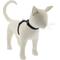 Show in main carousel: LupinePet Basic Solid H-Style Cat Harness, Black, Large: 12 to 20-in chest slide 1 of 5