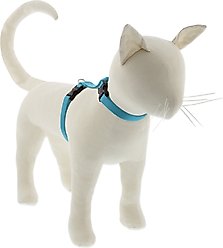 LupinePet Basic Solid H-Style Cat Harness, Aqua, Large: 12 to 20-in chest