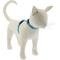 Show in main carousel: LupinePet Basic Solid H-Style Cat Harness, Aqua, Large: 12 to 20-in chest slide 1 of 6