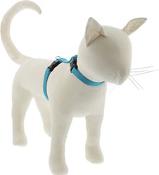 LupinePet Basic Solid H-Style Cat Harness, Aqua, Small: 9 to 14-in chest