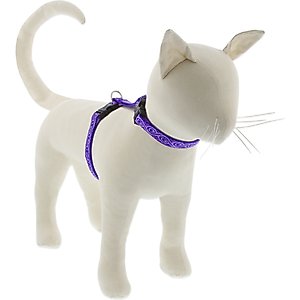 LupinePet Jelly Roll H-Style Cat Harness, Small: 9 to 14-in chest