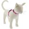 Show in main carousel: LupinePet Puppy Love H-Style Cat Harness, Small: 9 to 14-in chest slide 1 of 4