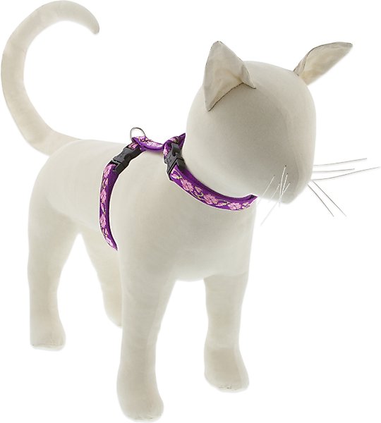 Show full view: LupinePet Rose Garden H-Style Cat Harness, Large: 12 to 20-in chest slide 1 of 4