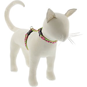 LupinePet Petunias H-Style Cat Harness, Large: 12 to 20-in chest