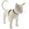 Show in main carousel: LupinePet Petunias H-Style Cat Harness, Large: 12 to 20-in chest slide 1 of 4