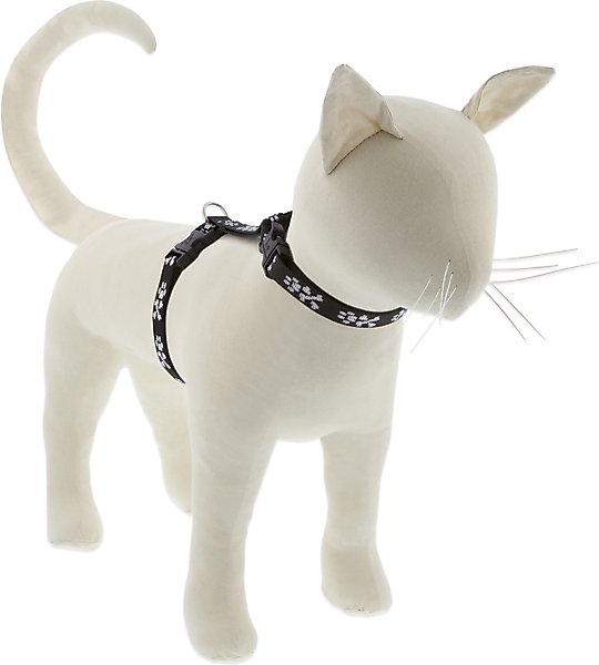 Show full view: LupinePet Bling Bonz H-Style Cat Harness, Large: 12 to 20-in chest slide 1 of 5