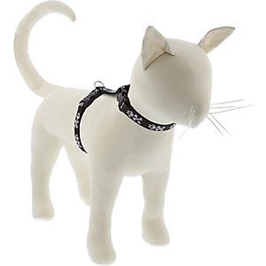 LupinePet Bling Bonz H-Style Cat Harness, Large: 12 to 20-in chest