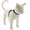 Show in main carousel: LupinePet Bling Bonz H-Style Cat Harness, Large: 12 to 20-in chest slide 1 of 5