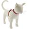 Show in main carousel: LupinePet Alpen Glow H-Style Cat Harness, Large: 12 to 20-in chest slide 1 of 4