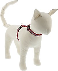 LupinePet El Paso H-Style Cat Harness, Large: 12 to 20-in chest