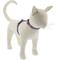 Show in main carousel: LupinePet Lollipop H-Style Cat Harness, Large: 12 to 20-in chest slide 1 of 6