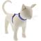 Show in main carousel: LupinePet Ripple Creek H-Style Cat Harness, Large: 12 to 20-in chest slide 1 of 4