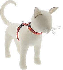 LupinePet Go Go Gecko H-Style Cat Harness, Large: 12 to 20-in chest