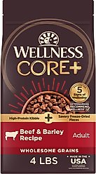 Wellness CORE+ Beef & Barley Grained Natural Adult Dry Dog Food, 4-lb bag slide 1 of 8