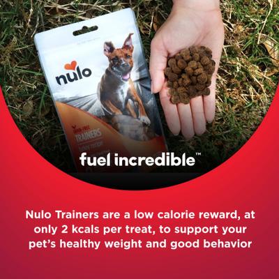 Show full view: Nulo Turkey Recipe Grain-Free Dog Training Treats, 4-oz bag slide 7 of 10