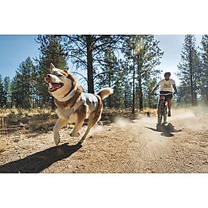 Ruffwear Swamp Cooler Dog Neck Gaiter, Graphite Gray, Medium