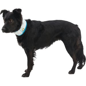 Ruffwear Swamp Cooler Dog Neck Gaiter, Biolumin Blue, Medium