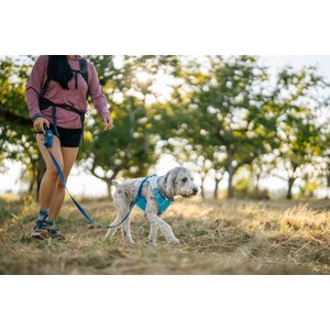 Ruffwear Swamp Cooler Dog Neck Gaiter, Biolumin Blue, Medium