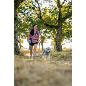 Ruffwear Swamp Cooler Dog Neck Gaiter, Biolumin Blue, Medium