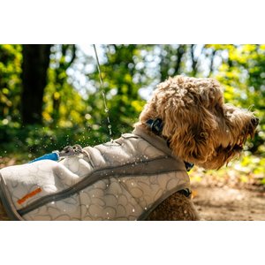 Ruffwear Swamp Cooler Dog Vest, Graphite Gray, Large