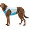 Show in main carousel: Ruffwear Swamp Cooler Zip Dog Vest, Biolumin Blue, XX-Small slide 6 of 9