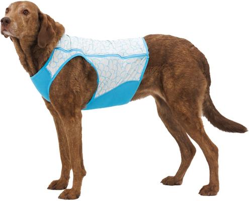 Show full view: Ruffwear Swamp Cooler Zip Dog Vest, Biolumin Blue, XX-Small slide 6 of 9