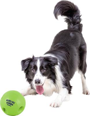 Show full view: Pets Know Best Wobble Wag Giggle Bounce Dog Ball Toy slide 3 of 10
