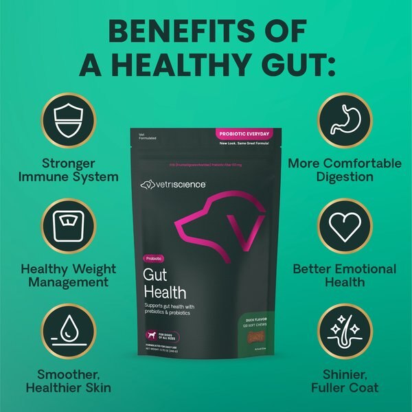 VetriScience Probiotic Everyday Gut Health Duck Flavored Chews Probiotic Supplement for Dogs