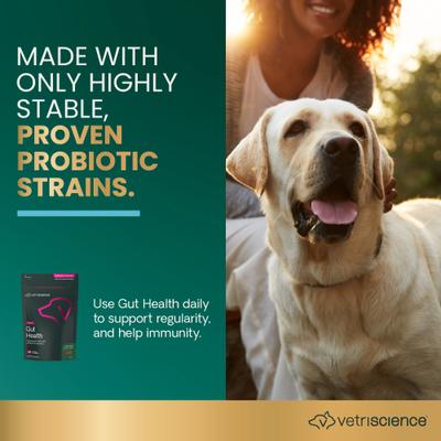 Show full view: VetriScience Probiotic Everyday Gut Health Duck Flavored Chews Probiotic Supplement for Dogs, 120 count slide 3 of 10
