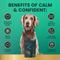 Show in main carousel: VetriScience Composure Long Lasting Calm & Confident Clinically Tested Chicken Flavored Chews Calming Supplement for Dogs, 90 Chews slide 6 of 10