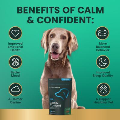 Show full view: VetriScience Composure Long Lasting Calm & Confident Clinically Tested Chicken Flavored Chews Calming Supplement for Dogs, 90 Chews slide 6 of 10