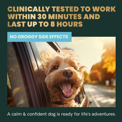 Show full view: VetriScience Composure Long Lasting Calm & Confident Clinically Tested Chicken Flavored Chews Calming Supplement for Dogs, 90 Chews slide 5 of 10